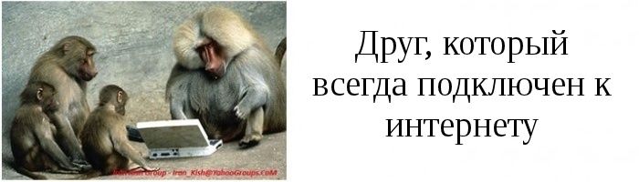 Типы друзей