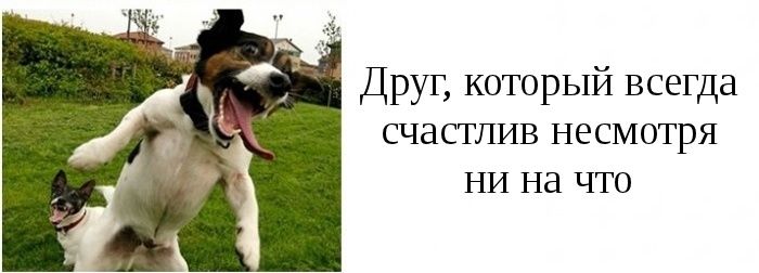 Типы друзей