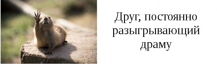 Типы друзей