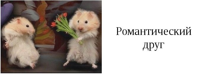 Типы друзей