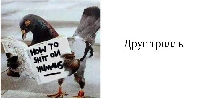 Типы друзей