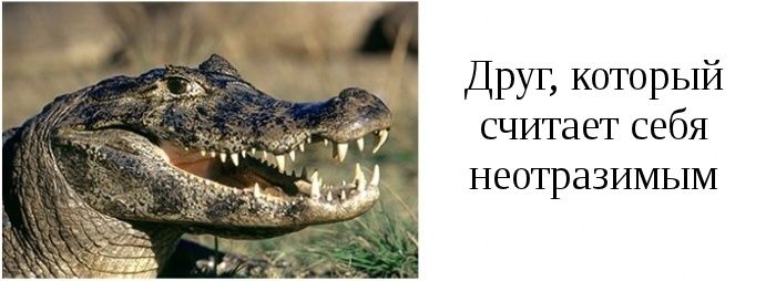 Типы друзей