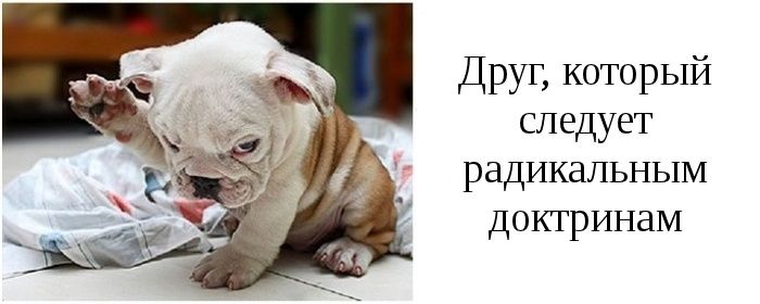 Типы друзей