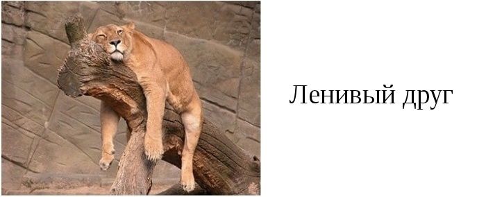 Типы друзей