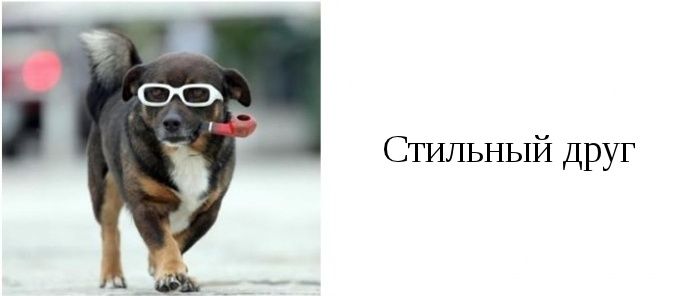 Типы друзей