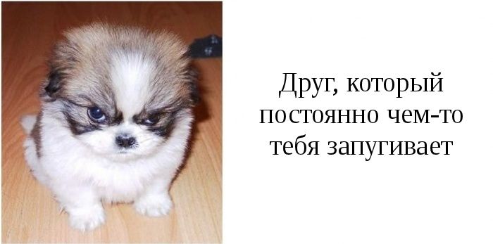 Типы друзей