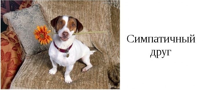 Типы друзей