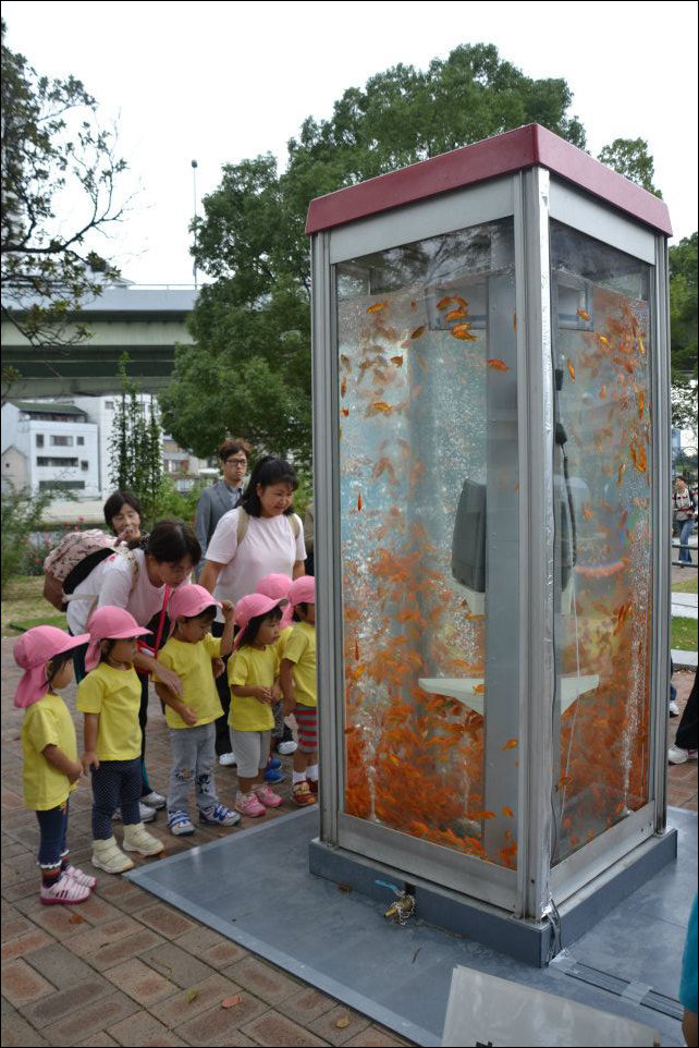 Телефонная будка - аквариум