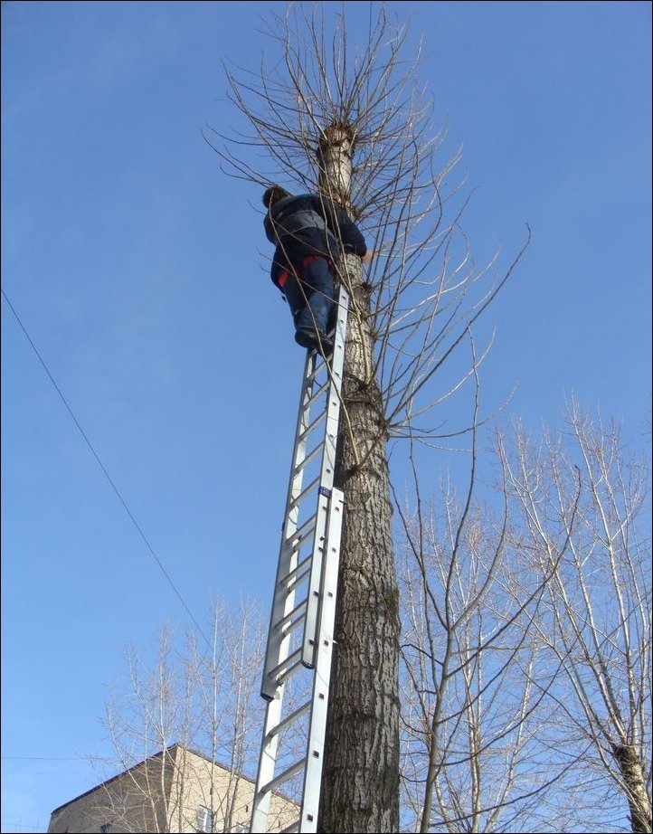 Спасение кота