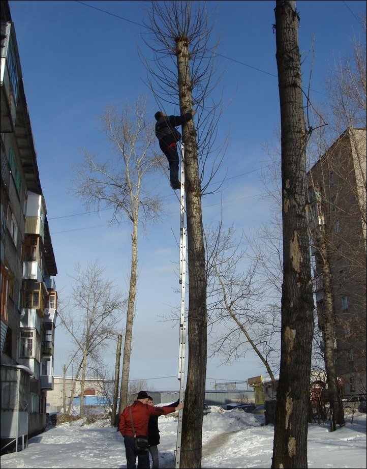 Спасение кота