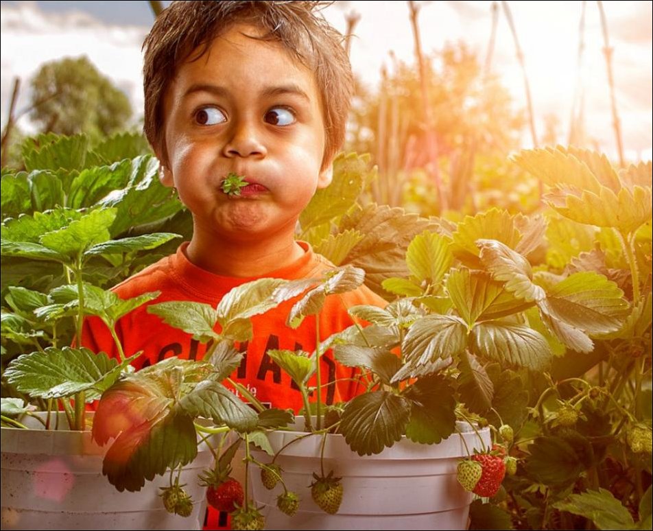 Запоминающиеся мгновения из детства