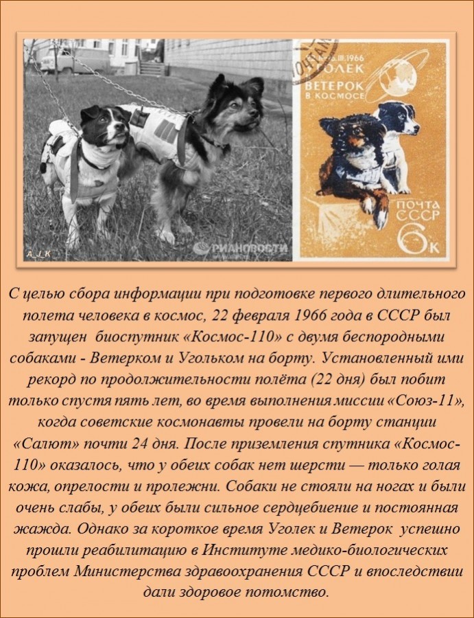 Интересные факты