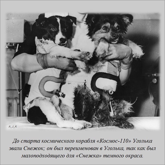 Интересные факты