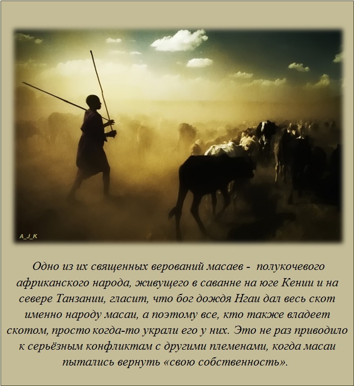 Интересные факты