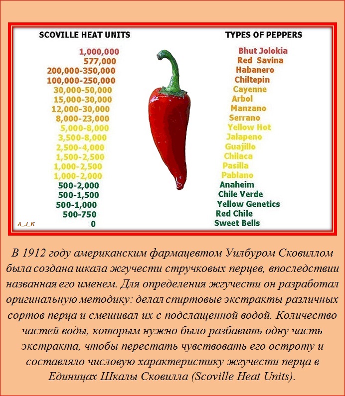 Интересные факты