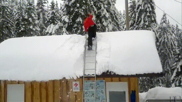 Прикольные гифки