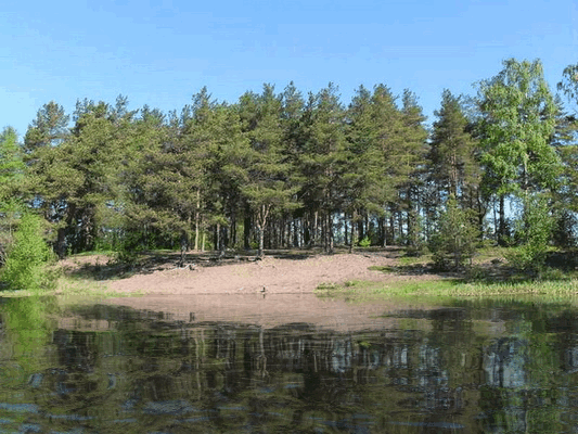 Прикольные гифки