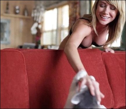 Прикольные гифки