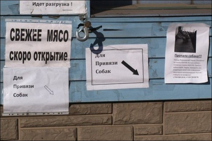 Прикольные надписи и объявления