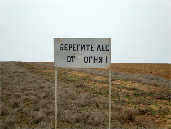 Прикольные надписи и объявления