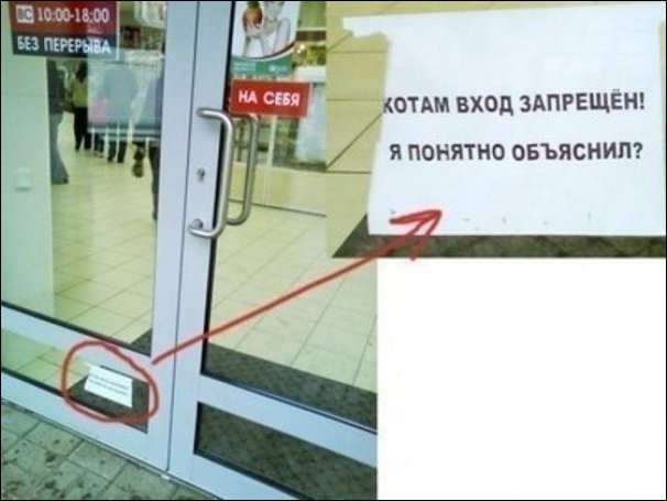 Прикольные надписи и объявления