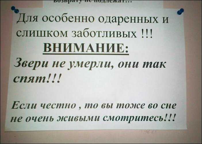 Прикольные надписи и объявления