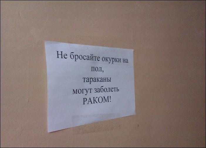 Прикольные надписи и объявления