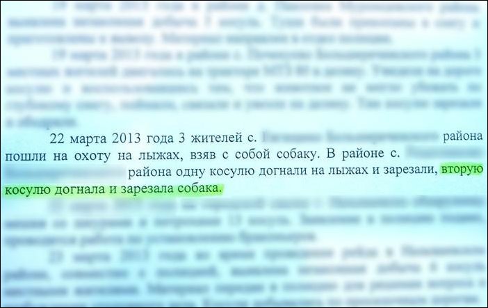 Прикольные надписи и объявления