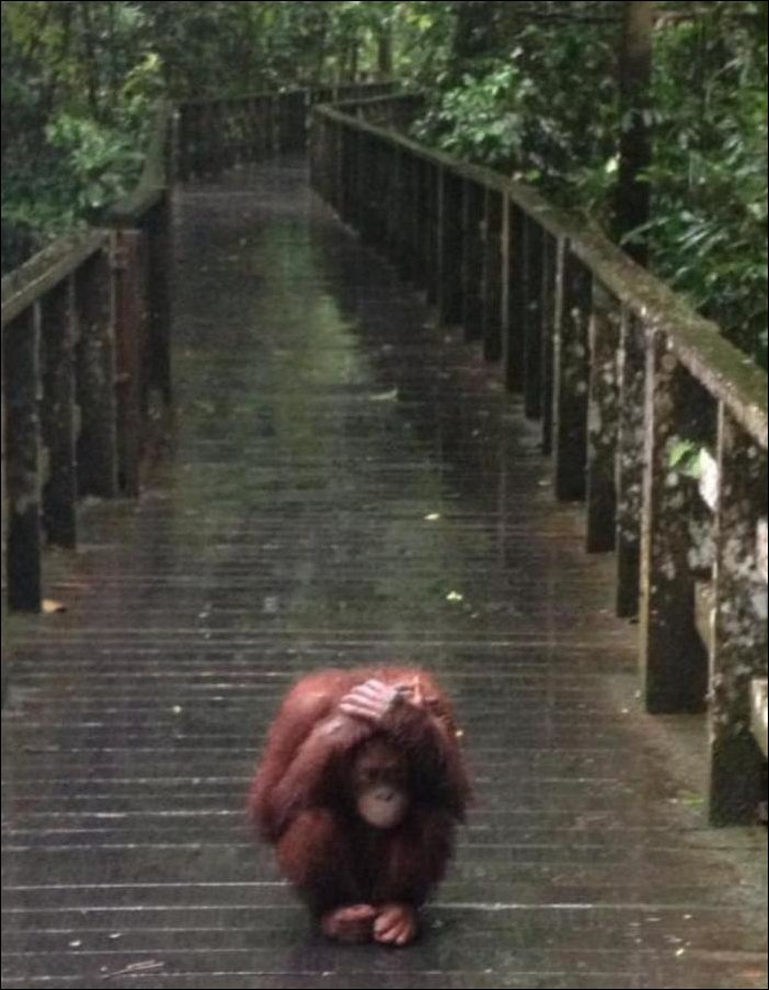 Подборка фотографий