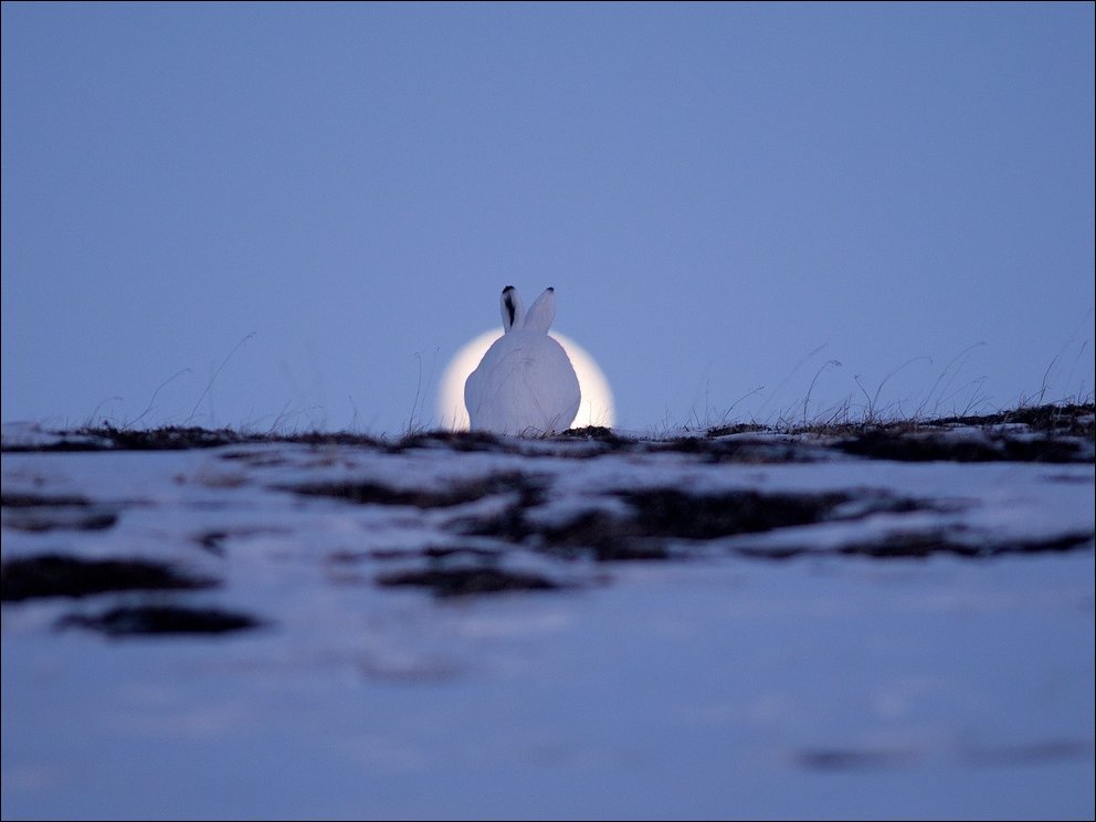 Подборка фотографий