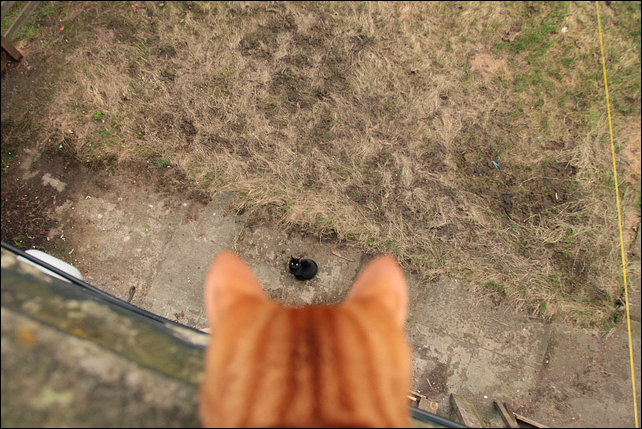 Подборка фотографий