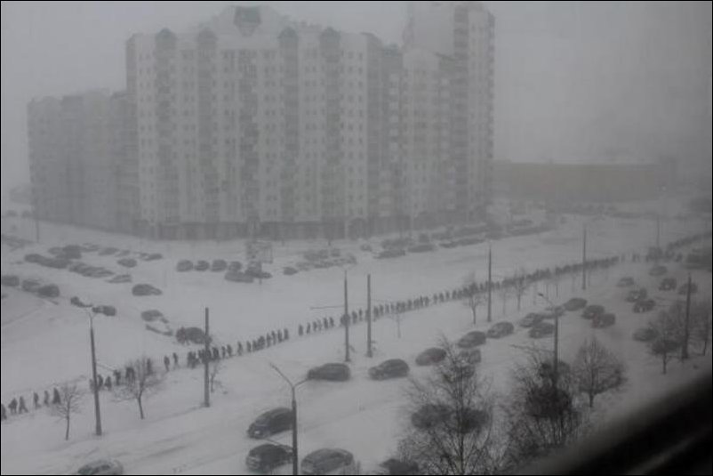 Подборка фотографий