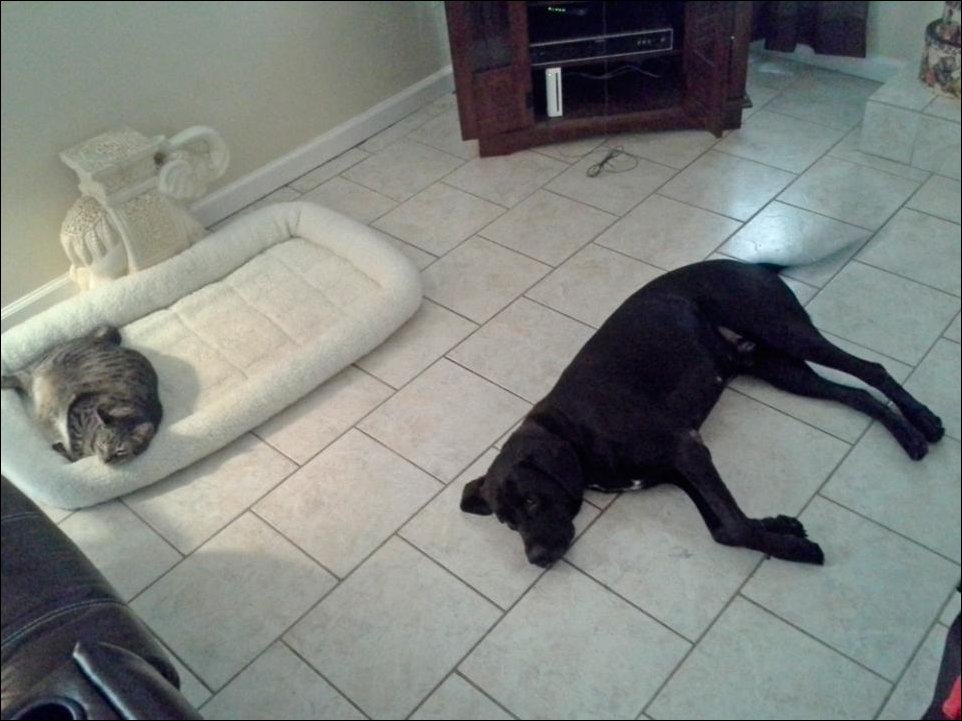 Подборка фотографий