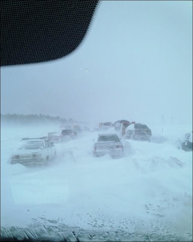 Подборка фотографий