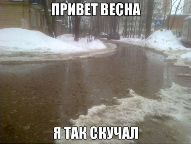 Подборка фотографий