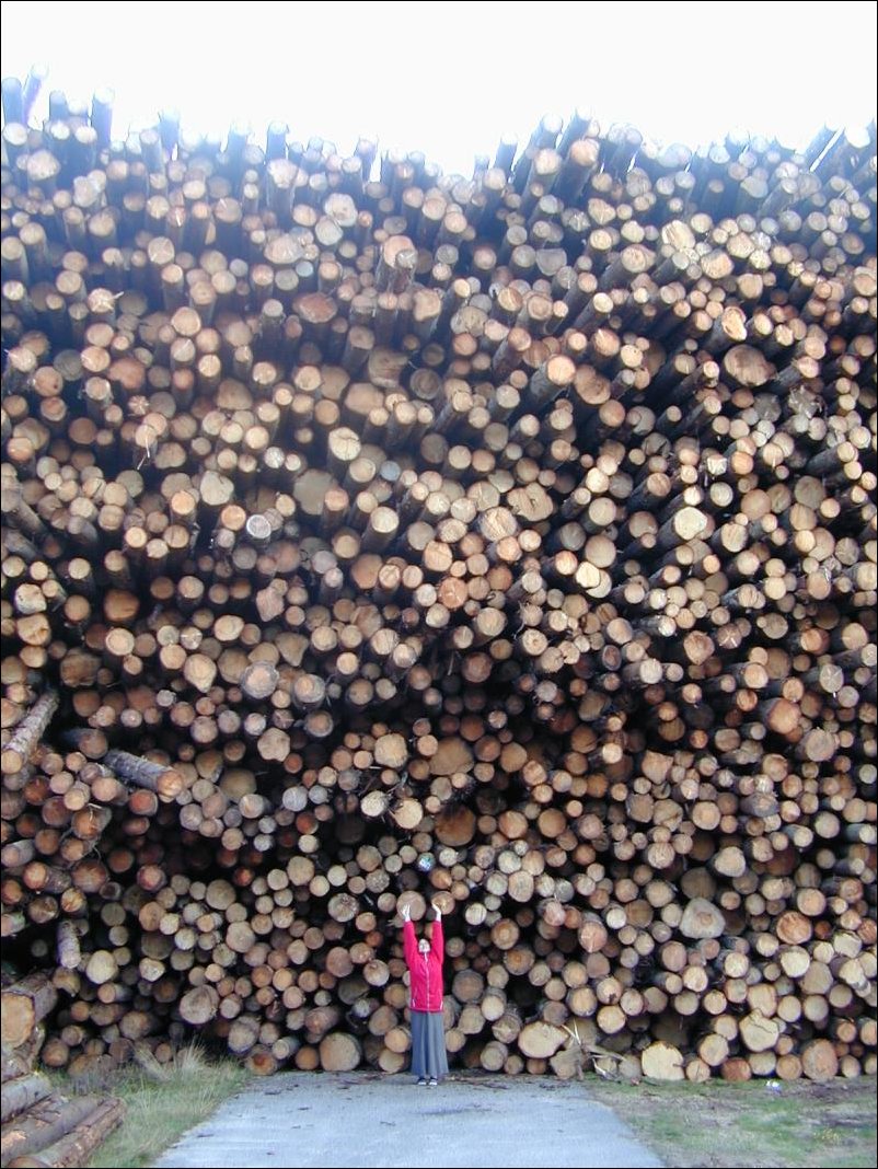 Подборка фотографий