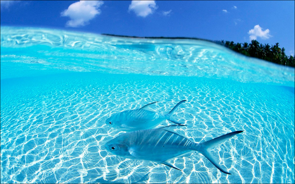 Подборка фотографий