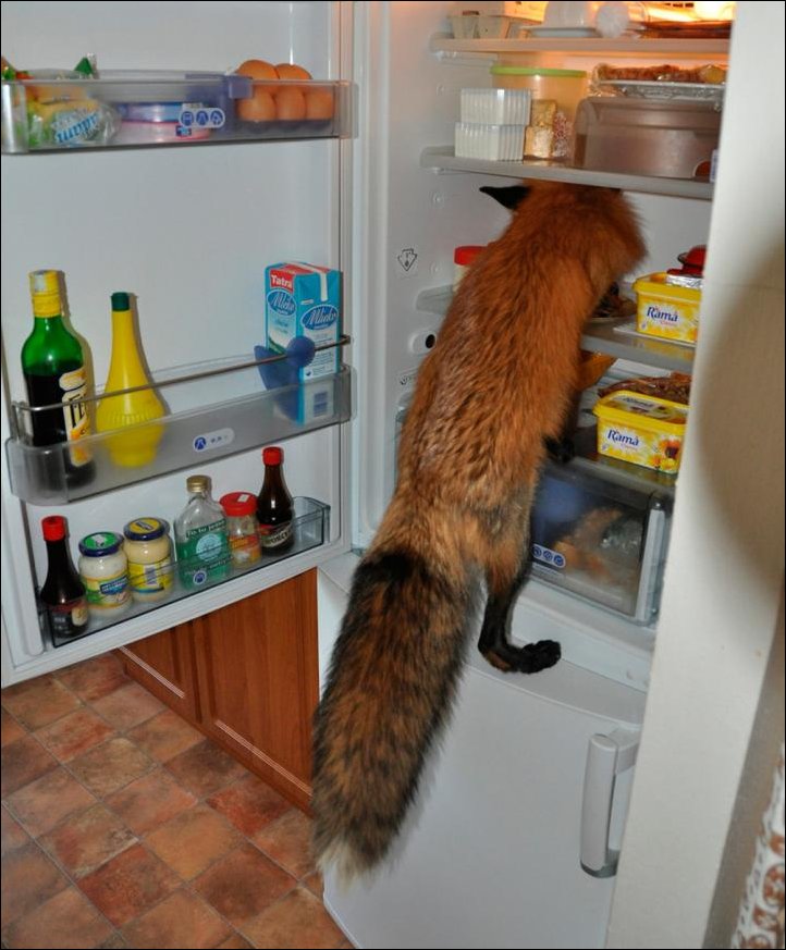 Подборка фотографий