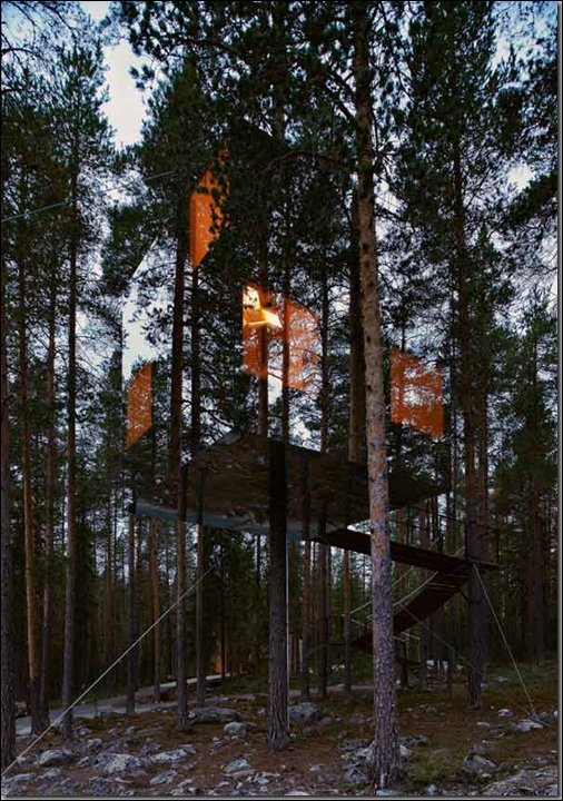 Подборка фотографий