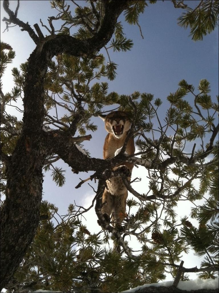 Подборка фотографий