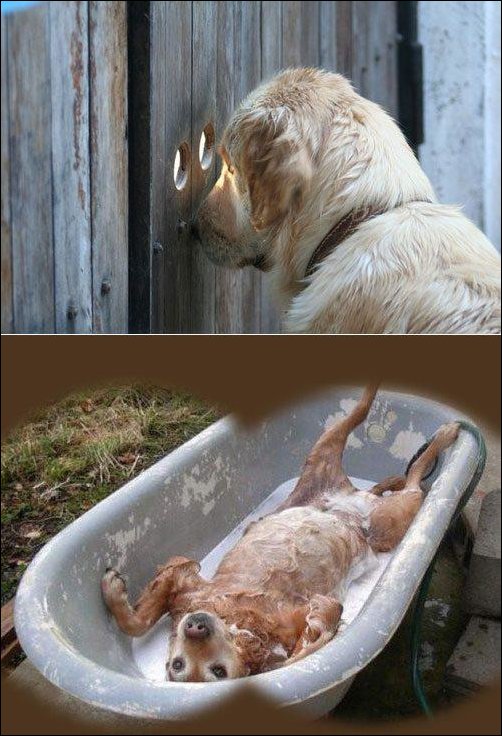 Подборка фотографий