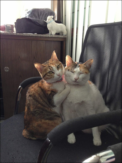 Подборка фотографий