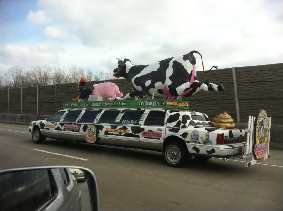 Подборка фотографий