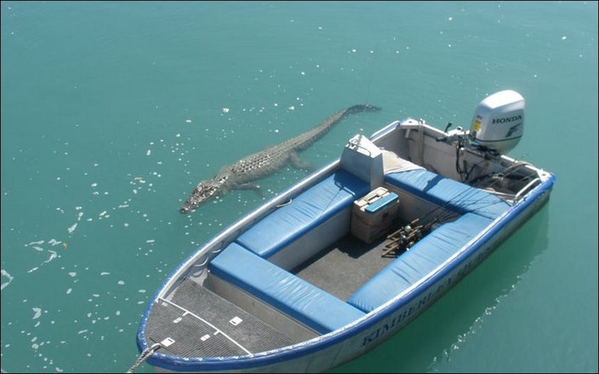 Подборка фотографий