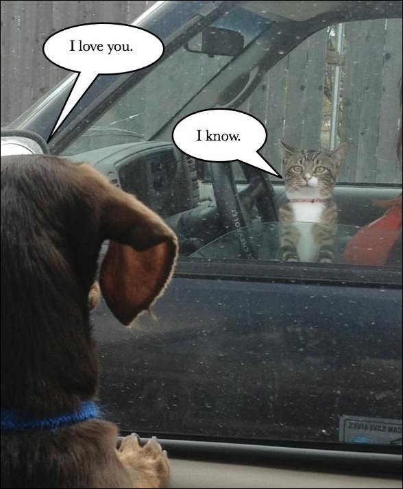 Подборка фотографий