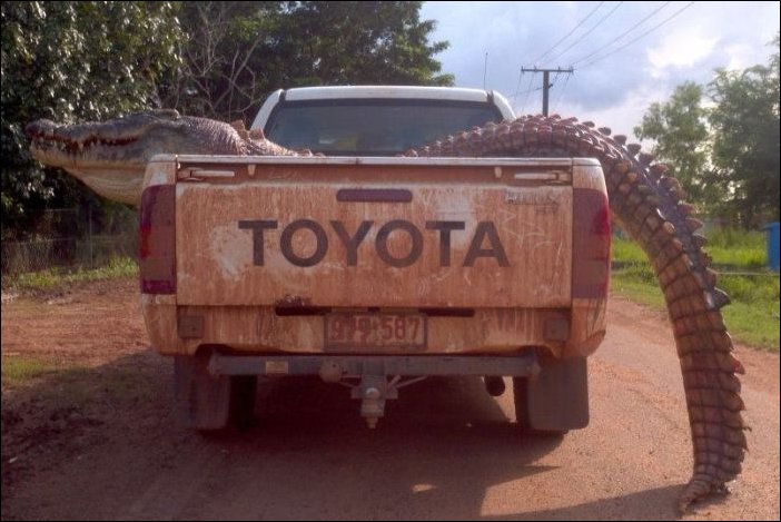 Подборка фотографий