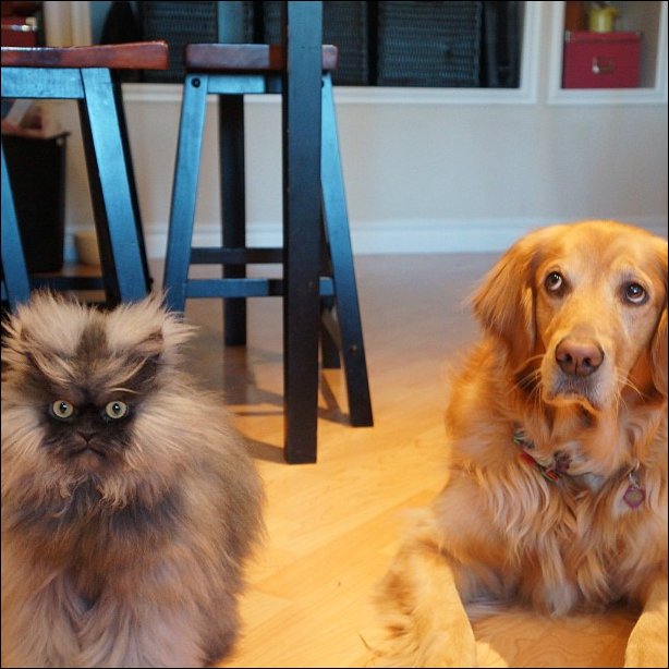 Подборка фотографий