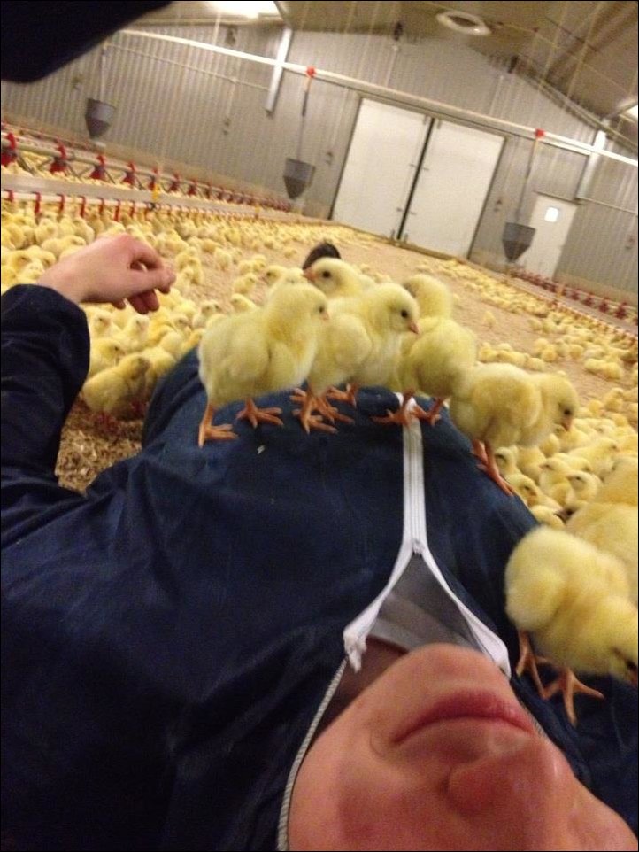 Подборка фотографий