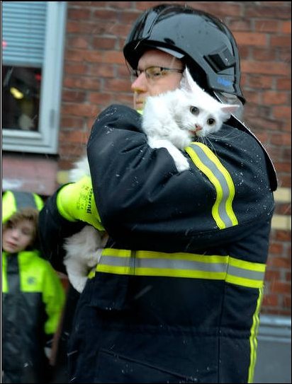 Подборка фотографий