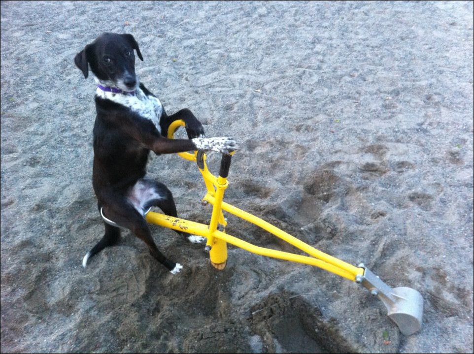 Подборка фотографий